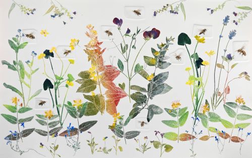 Lynn-Bailey-Garden-Bees-500